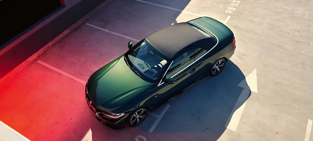 photo_in_container15022