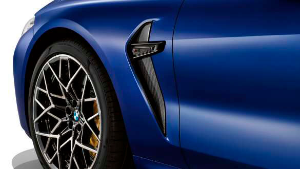 Бічні зябра М.