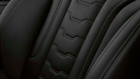 Цілісне шкіряне оздоблення 'Merino' BMW Individual