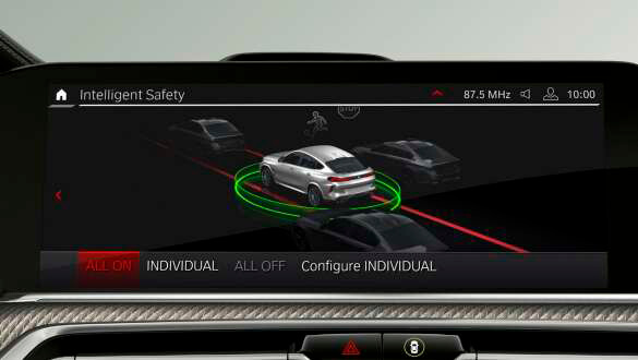 Driving Assistant Professional.