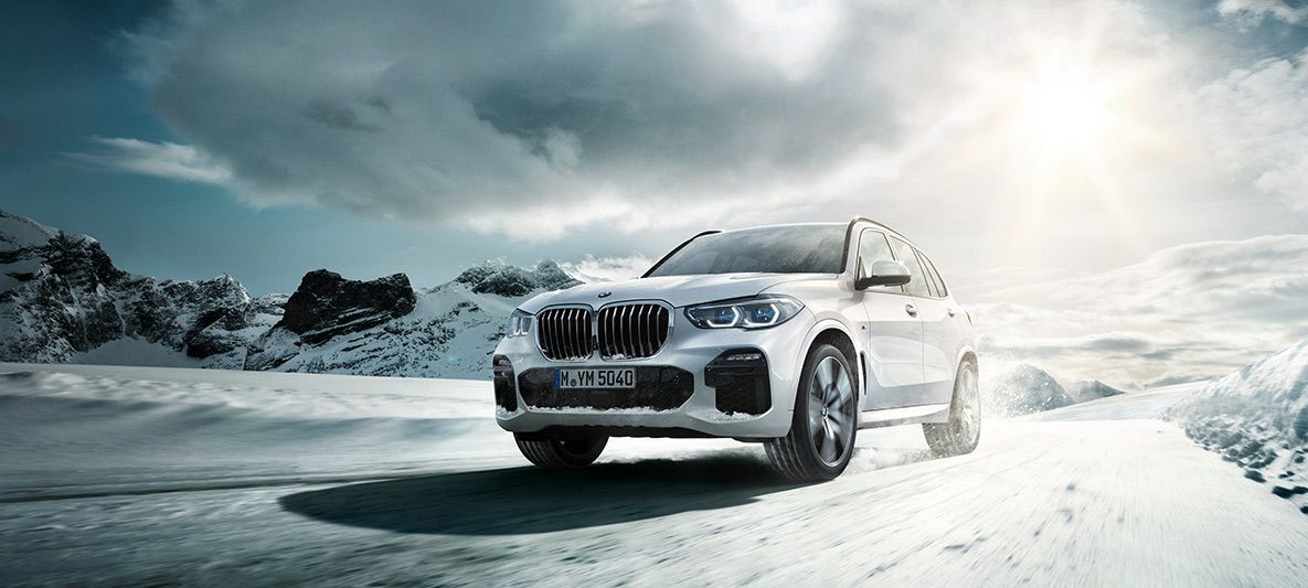 photo_in_container24348