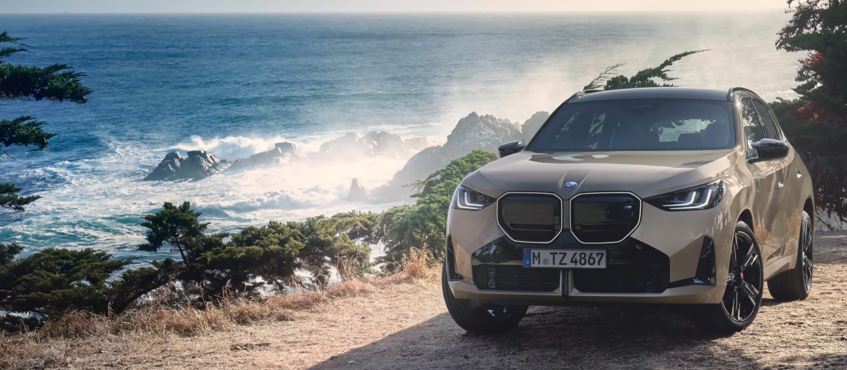 Стовідсотковий «М».