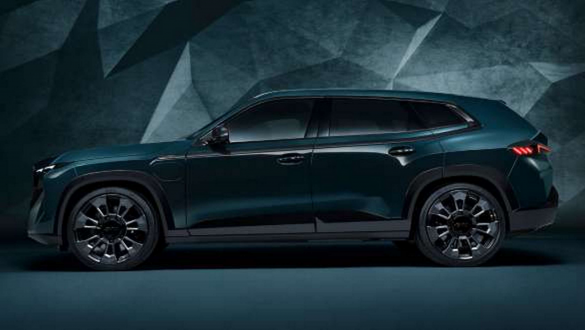 Індивідуальне лакофарбове покриття.