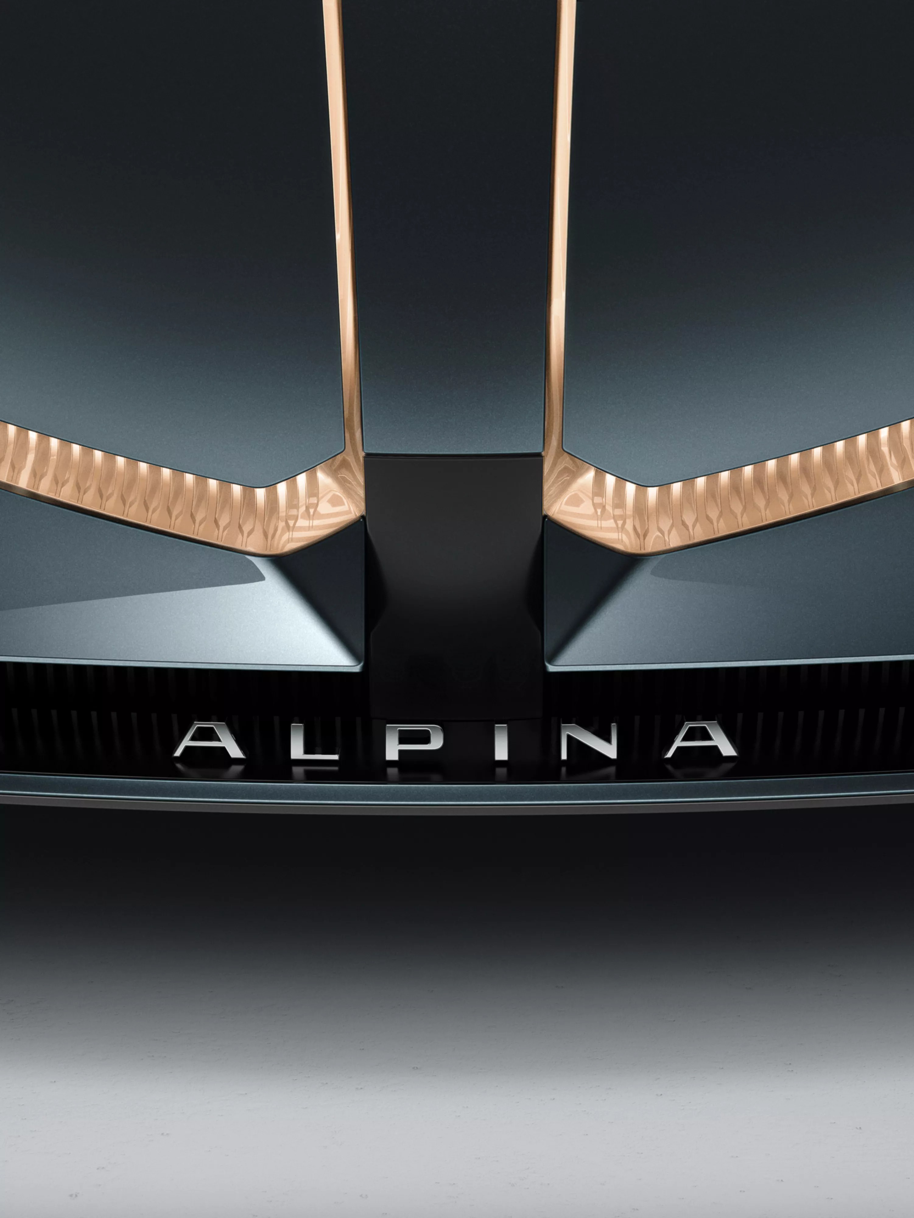 Надпис ALPINA
