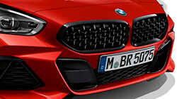 Решітка в сітчастому дизайні BMW.